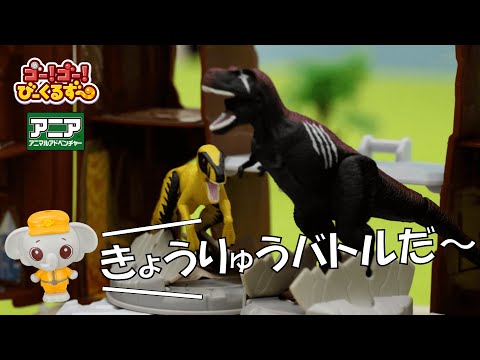 【恐竜バトル】勝つのはだ〜れ？チーム対抗でバトル！｜びーくるずー｜アニアキングダム【トミカ・プラレール・アニア】
