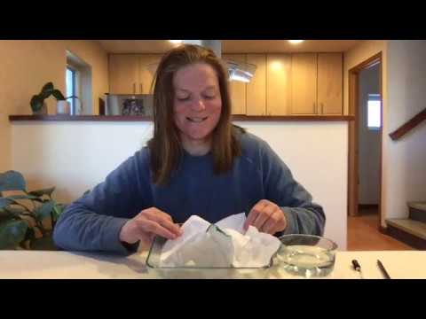 Museum Minute: Exploring Watersheds