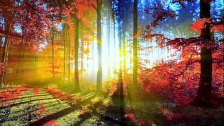 Lets Take The Long Way &quot;By&quot; Ronnie Milsap