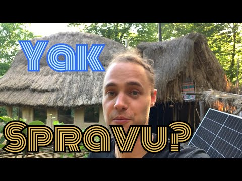 Цвіте хурма. Розмова з військовим. / Уявний прямий етер