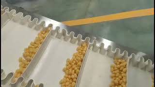 Core filling snack processing line youtube video