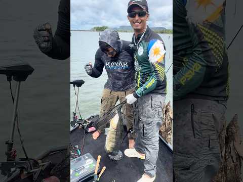 Muita emoção e peixe grande em Babaçulândia-TO 😱