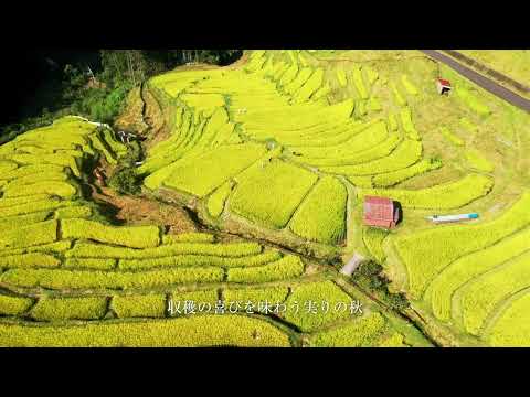 丸山千枚田【ドローン撮影】(熊野市)｜観光三重｜三重県の観光・旅行情報