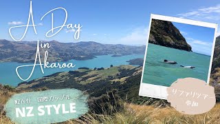 【NZ STYLE】A Day in Akaroa | アカロアでサファリツアーに参加!| 海外生活 | NZ在住| 国際カップル