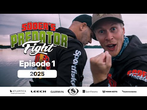 Predator Fight 2025 | Episode 1 (Multiple subtitles)