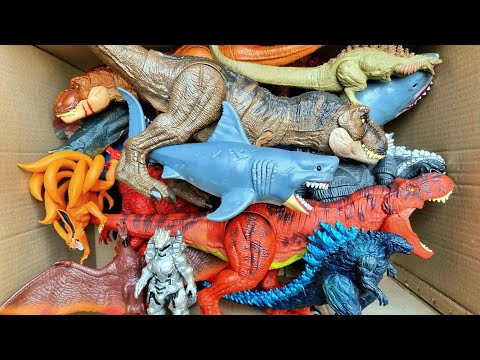 Hunting T-Rex, Distortus Rex, Spinosaurus, Megalodon, Mosasaurus And More Dinosaur Toy
