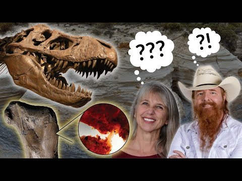 SOFT TISSUE In Dinosaur Bones After "70 million" Years?