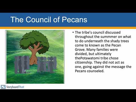 STEAM Inclusive Excellence: the council of pecans