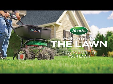 Welcome to the Lawn: How to Fertilize Your Lawn
