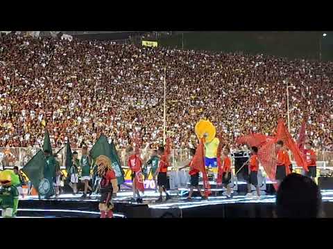 🚨 NÃO TEM COMO NÃO SE EMOCIONAR COM A TORCIDA DO VITÓRIA, SURREAL A SENSAÇÃO DO GRAMADO DO BARRADÃO