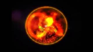 Luciano Ligabue La Terra Trema Amore mio DJWOLF REMIX