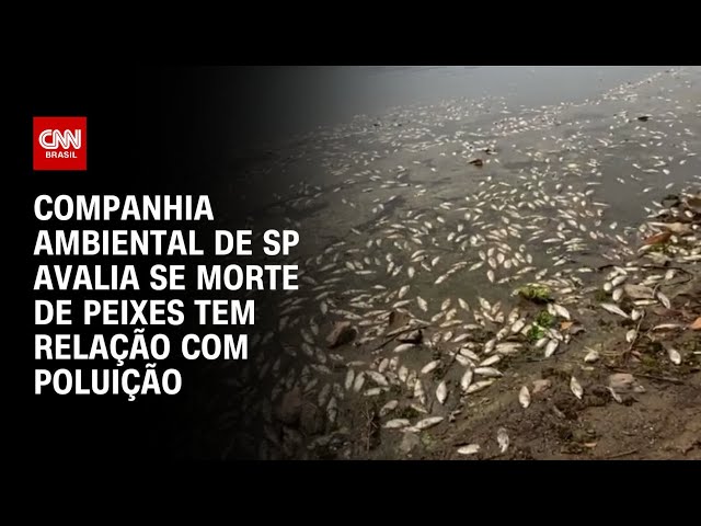 Companhia Ambiental de SP avalia se morte de peixes tem relação com poluição | CNN PRIME TIME