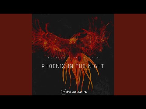 Phoenix in the Night