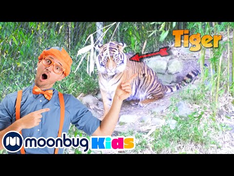 Blippi Visits a Zoo & Aquarium | Animals for Kids | Blippi | Funny Cartoons | Learn about Animals