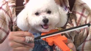 The Substitutes &quot;Hillbillies in a Haunted House&quot;