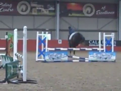 Alfie;;N E W  P O N Y !:)x