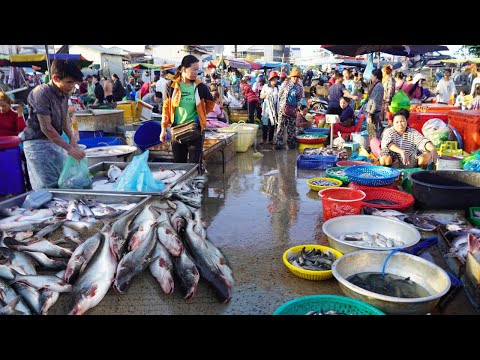 Morning Fish Market Scene @Chbar Ampov - Plenty Dry Fish, Alive Fish & More Seafood In Fish Market