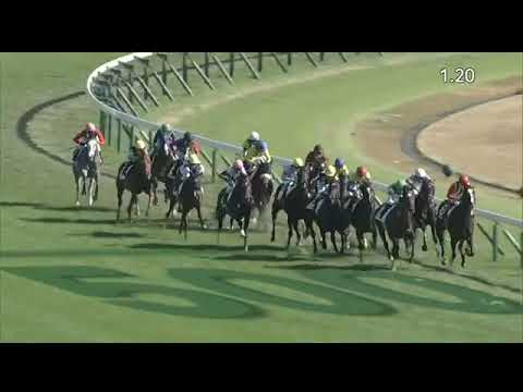 2022.11.27 2yo Newcomer (JPN) - Tastiera