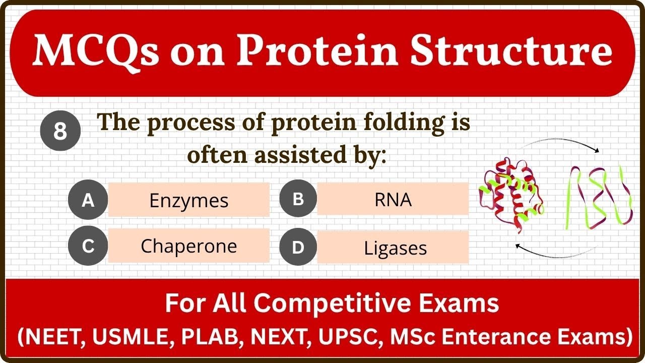 Top 25+ MCQs on Protein structure || Most Important MCQ questions