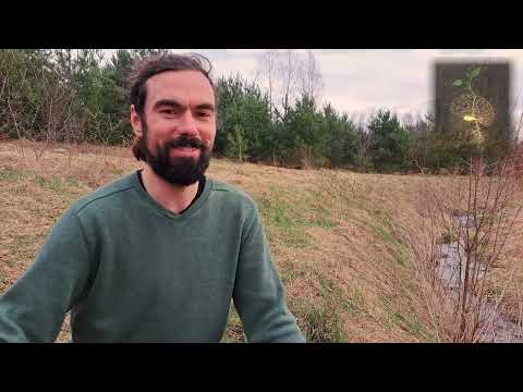 NIEZALEŻNE KINO OBJAZDOWE FILMU ,,Ziarno Świadomości''