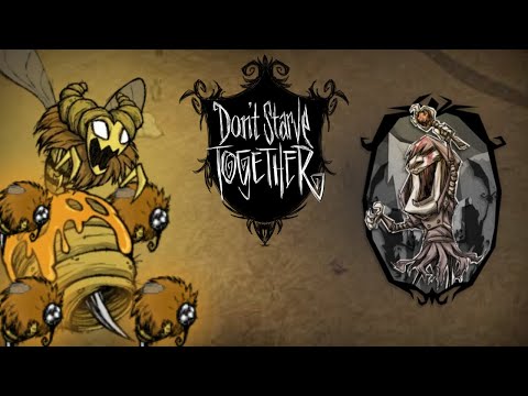 Fully Geared Maxwell vs Beequeen