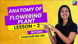 Ground Tissue System - Anatomy of Flowering Plants Class 11 Biology Concept | NEET 2023 Exam