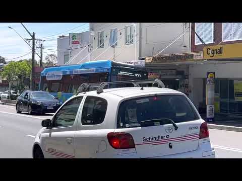 Transdev m/o 8188 BYD D9RA / Volgren Optimus at Kingsgrove 18-Oct-2021
