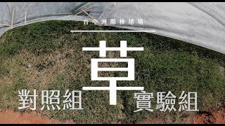 [閒聊] 現在中職排水最好的是哪座球場?