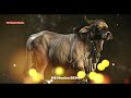 Sivan Pradosham WhatsApp Status Sivan Tamil