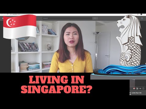 Cuộc sống và làm việc tại Singapore như thế nào?🇸🇬| Góc trải nghiệm | HannahEd #singapore #work