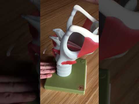 Movability of GS 10 Functional Model of the Larynx