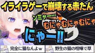 【赤たん発狂】莉々華からもらったゲームで人語を失い猫になるばんちょーｗｗｗ【 #轟はじめ #ホロライブ #ホロライブ切り抜き #regloss 】