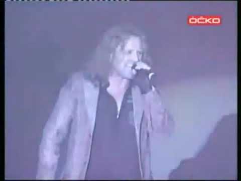 KABÁT - Porcelánový prasata