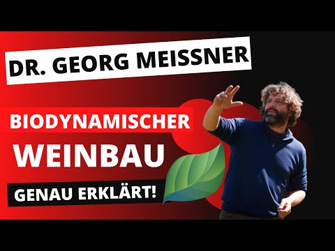 Biodynamischer Weinbau: Was bedeutet es ein guter Winzer zu sein? | Dr. Georg Meißner im Interview
