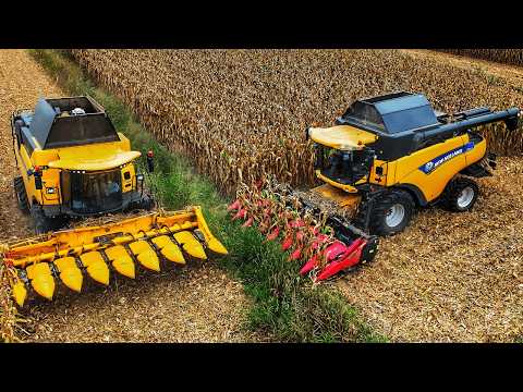 CORN HARVEST 2024 2X NEW HOLLAND CR Combine Harvesters