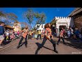 Celebrate Soulfully At Disney S Animal Kingdom