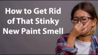 Use onion to get rid of paint smell
