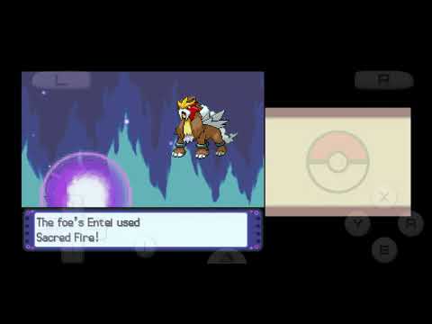 renegade platinum - darach