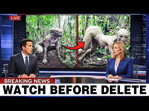 Camera Caught TERRIFYING Creatures in the Woods — What Appears at the End Will SHOCK You