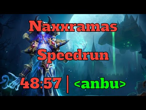 anbu 48:57 Naxxramas Speedrun | WotLK Classic Paladin Tank POV | Mit Voice