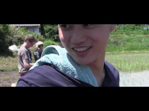 商学部プルーカゼミナール　2017田植え体験 (Takushoku University in Tokyo,Japan)