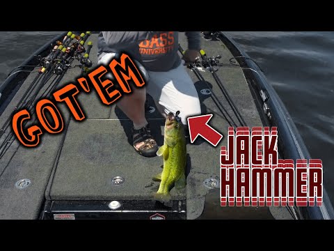 Chatterbait vs Spinnerbait - Is the Jack Hammer the BEST Bass Fishing Lure?!?