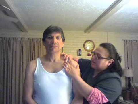 Bony Landmarks of the shoulder