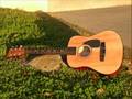 Sugarland........"Little Wood Guitar"