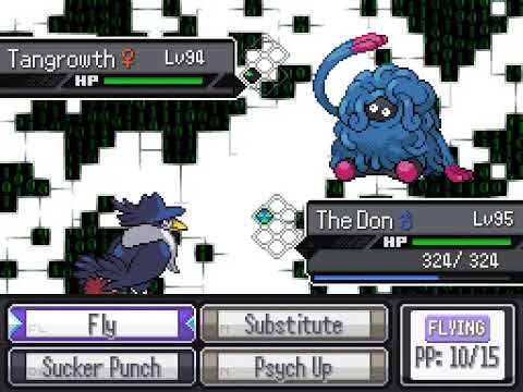 Pokemon Reborn Two-Mon Run Tournament Round 3