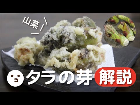 タラの育て方について詳しく解説