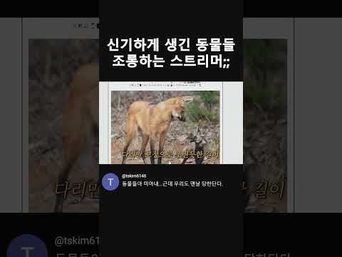 아이콘