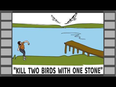 Kill Two Birds With One Stone - Idiom Explained | English Idioms | Origins Meaning Other languages