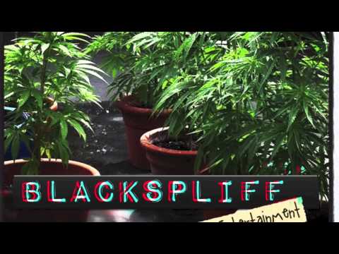 Blackspliff & Donni Devil-Das Leben kostet viel/Den Tod gibt es Gratis