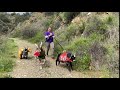 A Sandwich An Alligator And A Poop Factory Go For A Jog